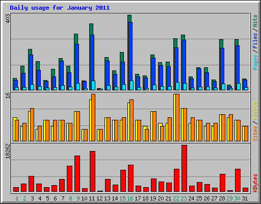 Daily usage for January 2011