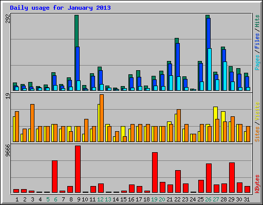 Daily usage for January 2013
