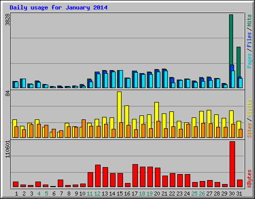 Daily usage for January 2014
