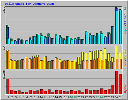 Daily usage for January 2025