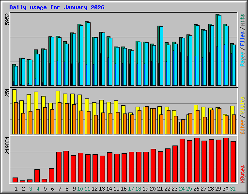 Daily usage for January 2026