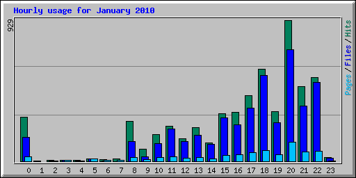 Hourly usage for January 2010