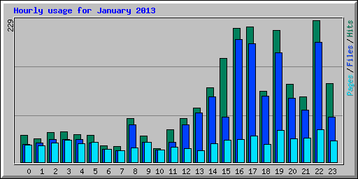 Hourly usage for January 2013