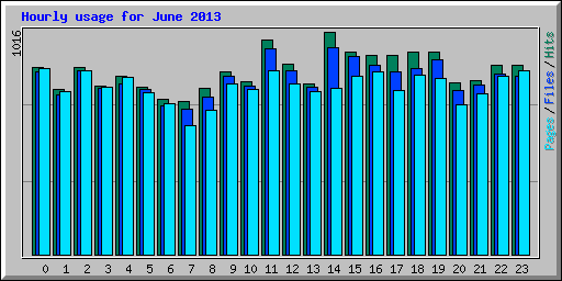 Hourly usage for June 2013