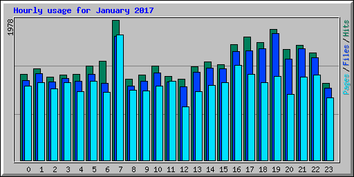 Hourly usage for January 2017