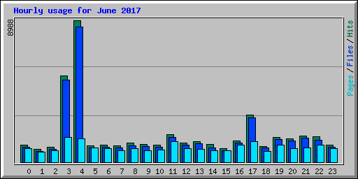 Hourly usage for June 2017