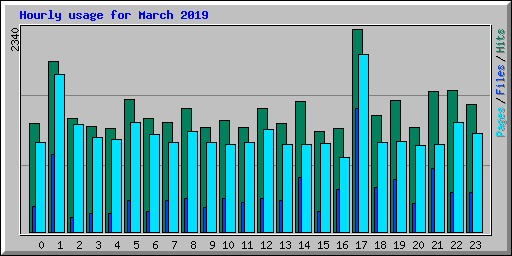 Hourly usage for March 2019