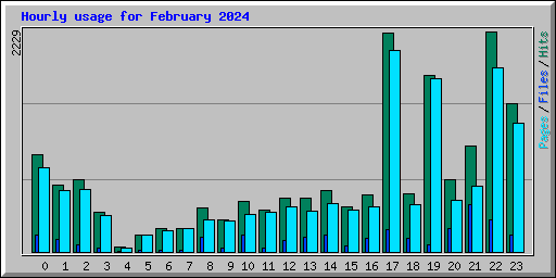 Hourly usage for February 2024