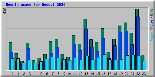 Hourly usage for August 2024