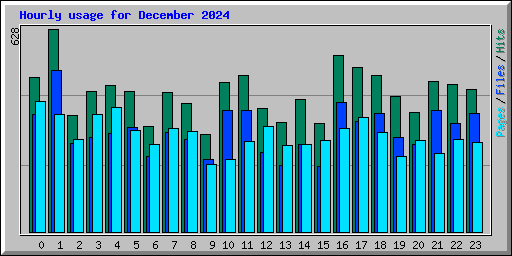 Hourly usage for December 2024