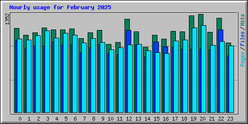 Hourly usage for February 2025