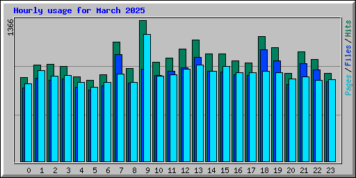 Hourly usage for March 2025