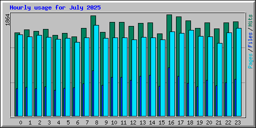 Hourly usage for July 2025