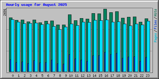 Hourly usage for August 2025
