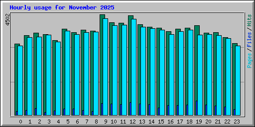 Hourly usage for November 2025