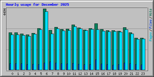 Hourly usage for December 2025
