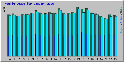 Hourly usage for January 2026