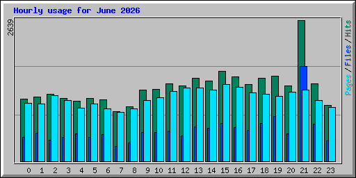 Hourly usage for June 2026