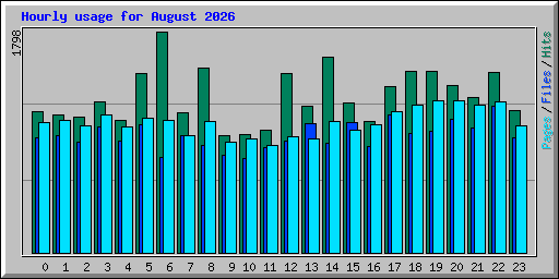 Hourly usage for August 2026